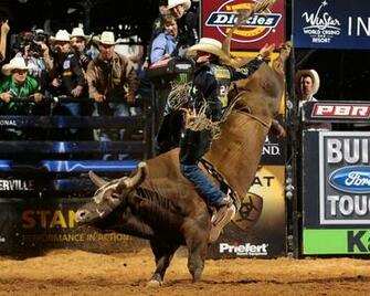Asteroid Vs Jb Mauny Bull Pics About Space
