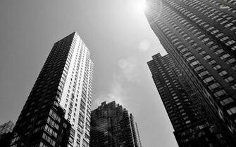Skyscrapers Wallpaper