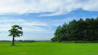 HD Wallpaper 1080p Laptops Notebooks Background