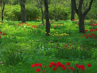 Spring Garden And Landscape Wallpaper Which Is Under The