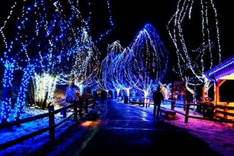 Live Christmas Wallpaper Wallpaper9