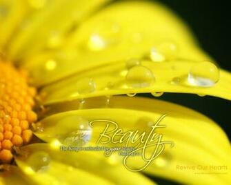 Psalm Summer Desktop Wallpaper Find More