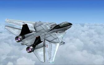 Tomcat Wallpaper