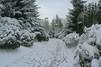 Pin House Winter Snow Sledge Card New Year Christmas 1366x768jpg