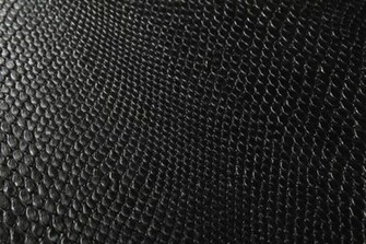 Black Snake Skin Wallpaper Website