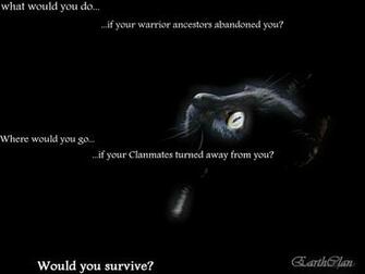 Image Black Cat Earth Wallpaper Jpg Warrior Cats Roleplay Wiki
