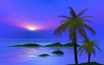 Palm Tree Desktop Wallpaper