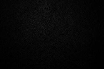 Blank Background Galleries Chase Creative Photography