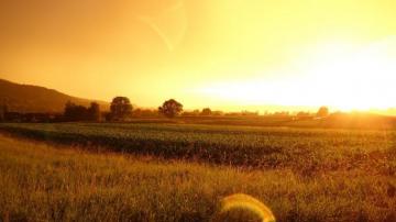Farm Wallpaper Top Background