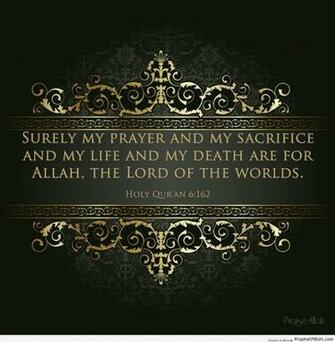 Quran Quotes About Peace