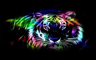 Colorful Tiger HD Wallpaper