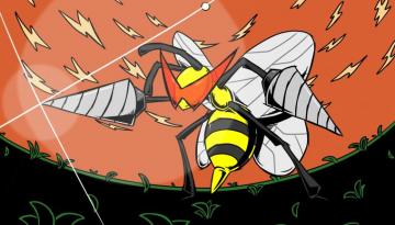 Beedrill Wallpaper Image Galleries