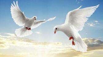 Flying White Doves Background Wallpaper For Powerpoint Presentations