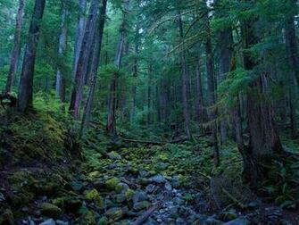 Olympic National Park Wallpaper Geographic Photo Of The Day