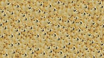 It S Full Of Doge Wallpaper