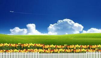 High Resolution Hq And HDtv Top Rated Wallpaper