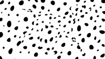 Dalmatians Wallpaper By Citron Vert