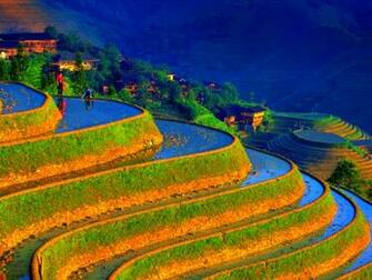 Chinese Wallpaper