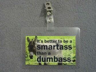 Amazon 3pk Bdg2 Smartass Novelty Clip On Badge Collectable
