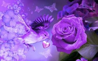 Design Purple Viola Mothers Artwork Bird Butterflies Violet Rose