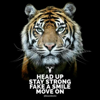 Halimath Shahajiya On Determined Tiger Quotes Beast