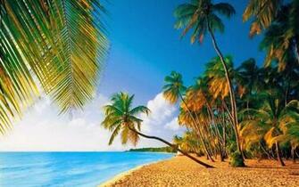 Tropical Paradise Wallpaper HD Widescreen Car Pictures
