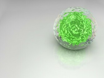 Bacteria Wallpaper By Egresh