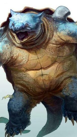 Squirtle Pokemon Wartortle Blastoise HD Wallpaper