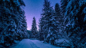 Winter Aesthetic Wallpaper
