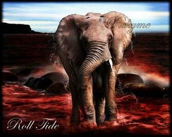 Crimson Tide By Pickyme