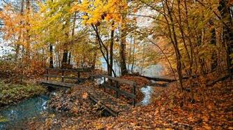 Autumn Wallpaper