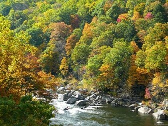 Fall Color Wallpaper Fond D Cran