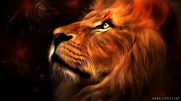 Lion Art Wallpaper Group