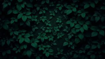 Best Dark Green Wallpaper
