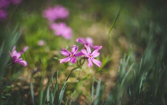 Collection Great Pictures Pure High Definition HD You Can