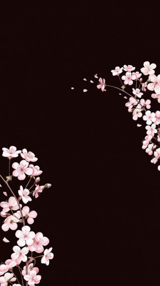 Floral iPhone Wallpaper High Resolution Flower Mobile