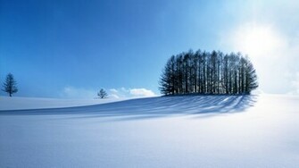 Winter Scenery Wallpaper HD