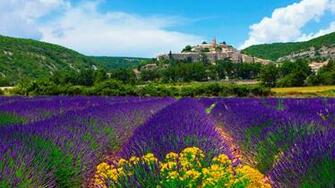 Provence Wallpaper