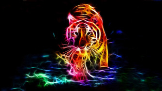 Cool Wallpaper Of Tigers