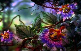 Bing Wallpaper Desktop