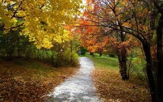 Source Url Smscs Photo Fall Html