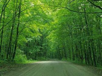 Country Road Photos Roads Pictures Scene Wallpaper