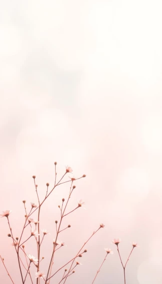 Cute Wallpaper