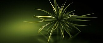 Dale Chihuly Desktop 3d Wallpaper In HD