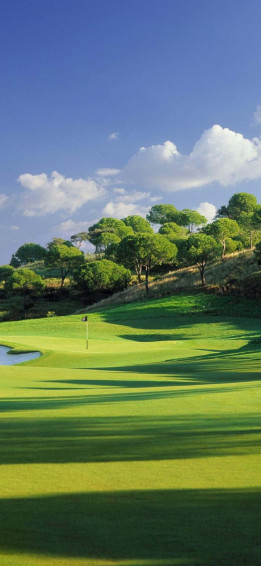 iPhone X Golf Course Background Wallpaper