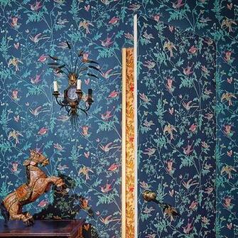 Hummingbirds Archive Anthology Cole Son