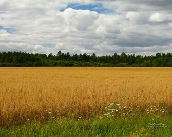 Late Summer Field Canada Wallpaper Size Pictures