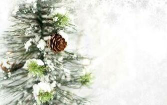 Wonderful HD Pine Cone Wallpaper HDwallsource