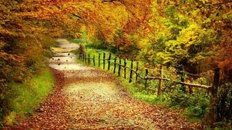 Fall Landscapes Related Keywords Amp Suggestions