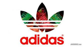 Adidas Colorful Logo HD Desktop Wallpaper Instagram Photo